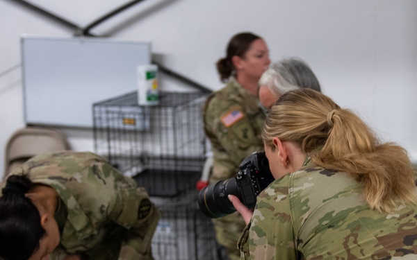 Operation Healthy Tennessee - Veterinary Services