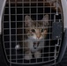 Operation Healthy Tennessee - Veterinary Services