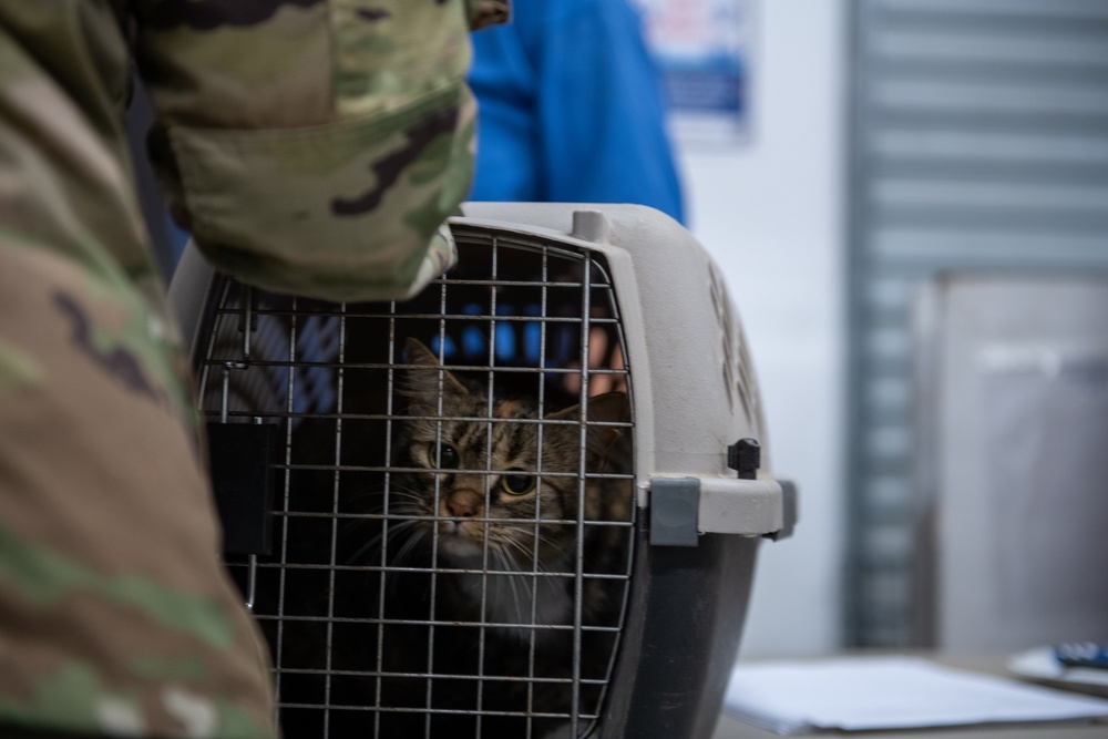 Operation Healthy Tennessee - Veterinary Services