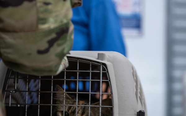 Operation Healthy Tennessee - Veterinary Services