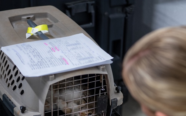 Operation Healthy Tennessee - Veterinary Services