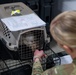 Operation Healthy Tennessee - Veterinary Services