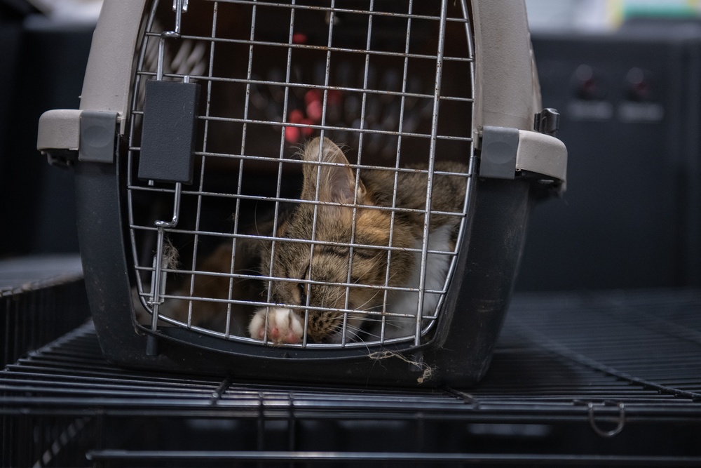 Operation Healthy Tennessee - Veterinary Services