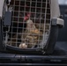 Operation Healthy Tennessee - Veterinary Services