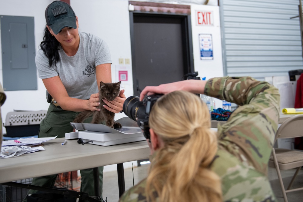 Operation Healthy Tennessee - Veterinary Services