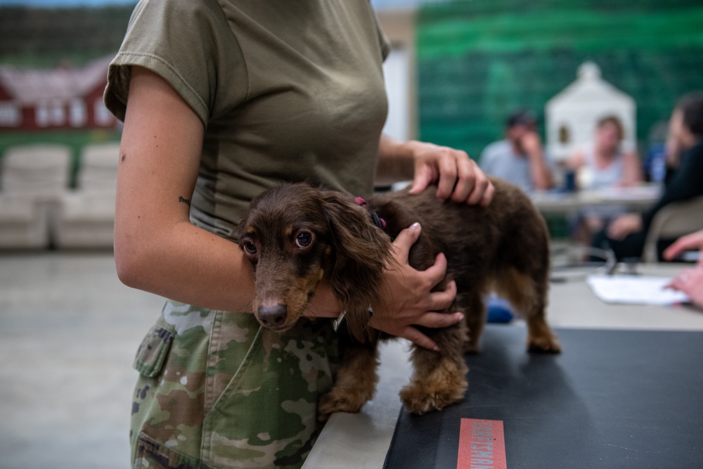 Operation Healthy Tennessee - Veterinary Services