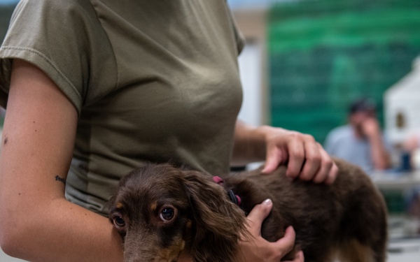 Operation Healthy Tennessee - Veterinary Services