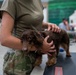 Operation Healthy Tennessee - Veterinary Services