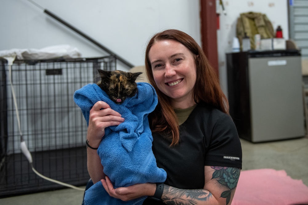 Operation Healthy Tennessee - Veterinary Services