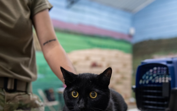 Operation Healthy Tennessee - Veterinary Services