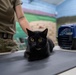 Operation Healthy Tennessee - Veterinary Services