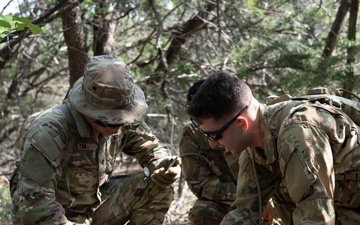 Joint service members participate in 'Operation Dustoff Vigilance'