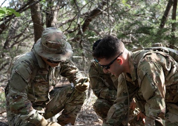Joint service members participate in 'Operation Dustoff Vigilance'