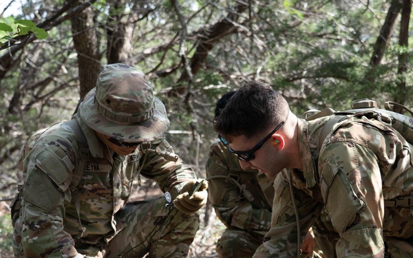 Joint service members participate in 'Operation Dustoff Vigilance'