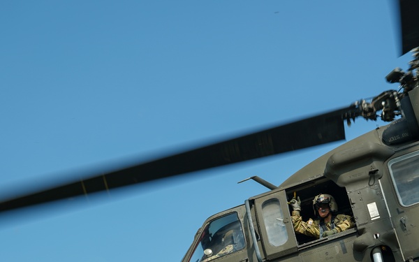 Joint service members participate in 'Operation Dustoff Vigilance'