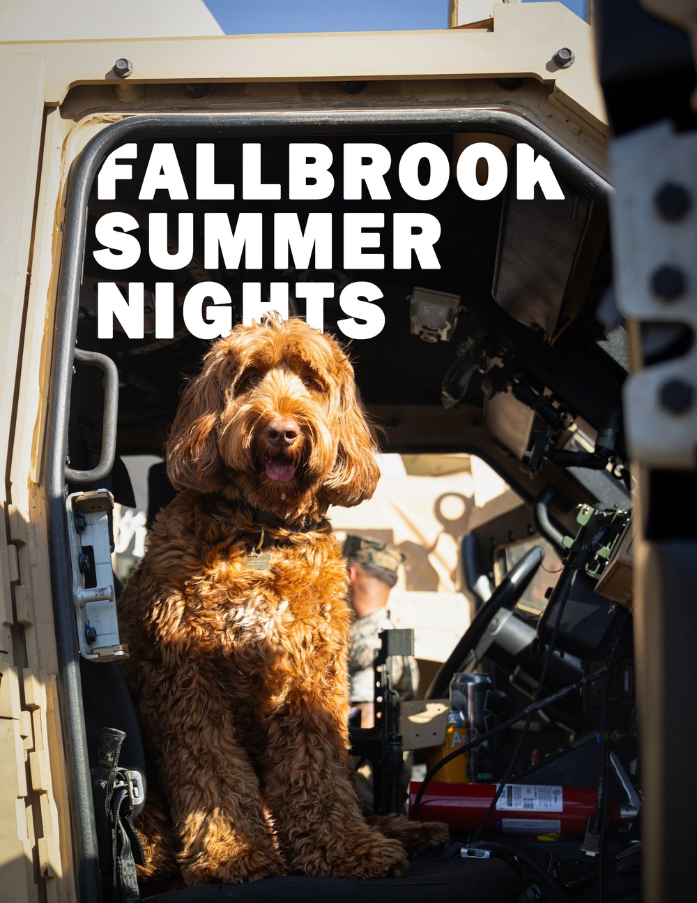 Fallbrook Summer Nights