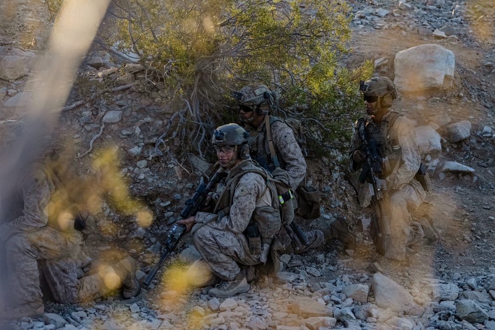 SLTE 4-25: V31 Live-Fire Platoon Attack