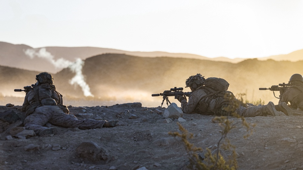 SLTE 4-25: V31 Live-Fire Platoon Attack