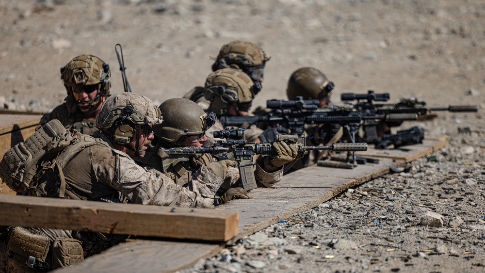 SLTE 4-25: V31 Live-Fire Platoon Attack