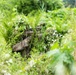 2nd Battalion, 23rd Infantry Regiment, 1st Stryker Brigade Combat Team, 4th Infantry Division Sniper target acquisition