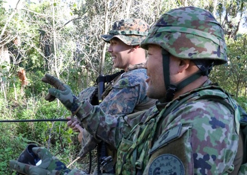 Vehicle Self-Recovery Class 15 July 2025