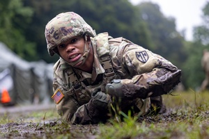 The Marne Report
