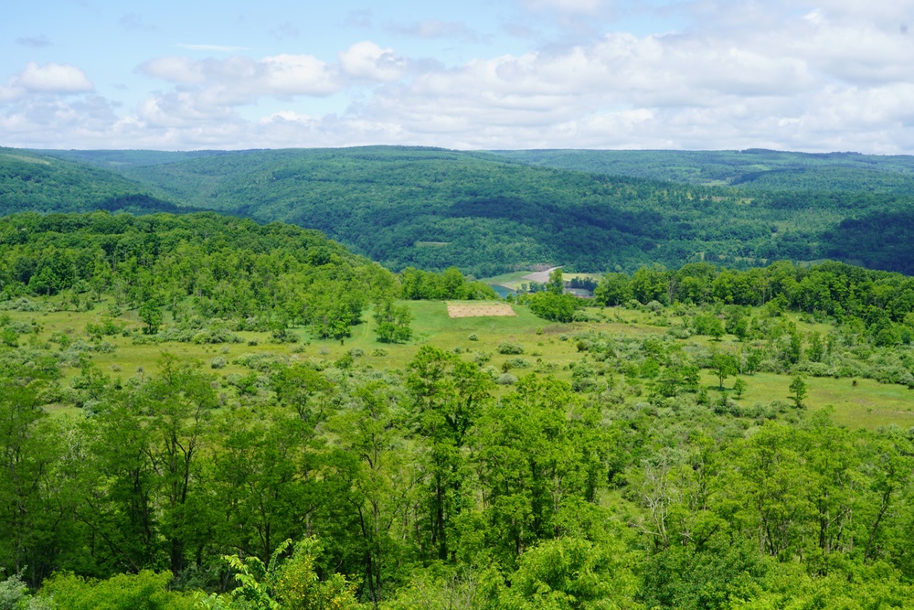 Jennings Randolph Lake Volunteers Plant Native Chestnuts in National Conservation Program