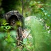 2 ASOS Airmen conduct field training exercise