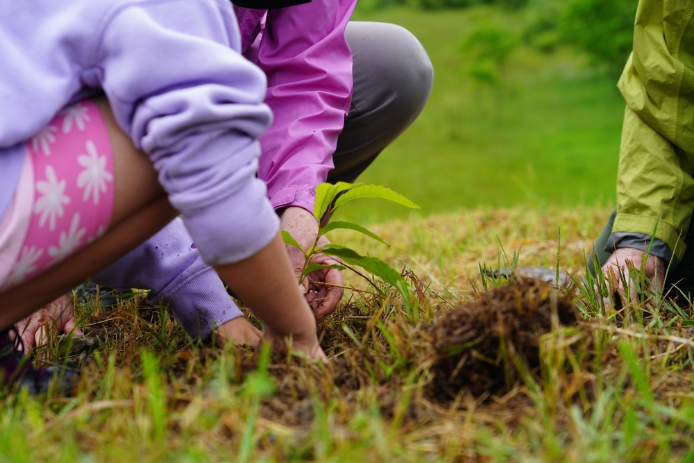 Jennings Randolph Lake Volunteers Plant Native Chestnuts in National Conservation Program