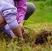 Jennings Randolph Lake Volunteers Plant Native Chestnuts in National Conservation Program