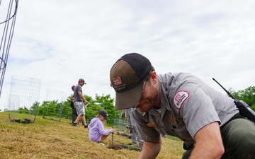 Jennings Randolph Lake Plants Native Chestnuts in National Conservation Program