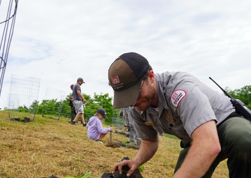 Jennings Randolph Lake Plants Native Chestnuts in National Conservation Program