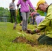 Jennings Randolph Lake Volunteers Plant Native Chestnuts in National Conservation Program