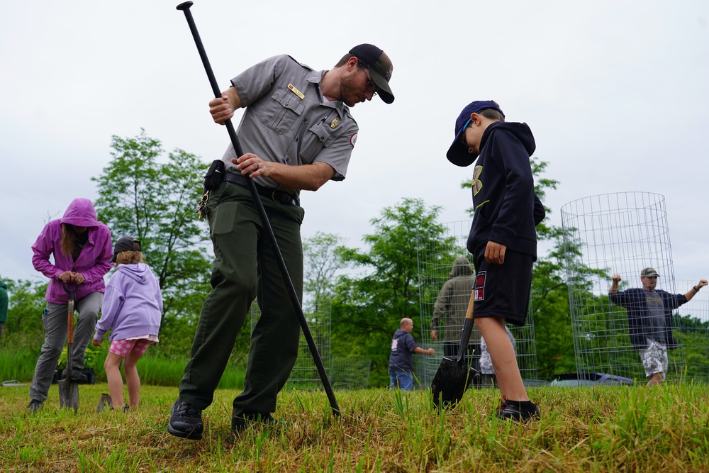 Jennings Randolph Lake Volunteers Plant Native Chestnuts in National Conservation Program