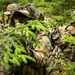 2 ASOS Airmen conduct field training exercise