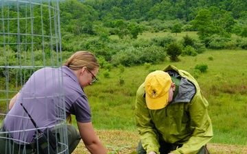 Jennings Randolph Lake Volunteers Plant Native Chestnuts in National Conservation Program
