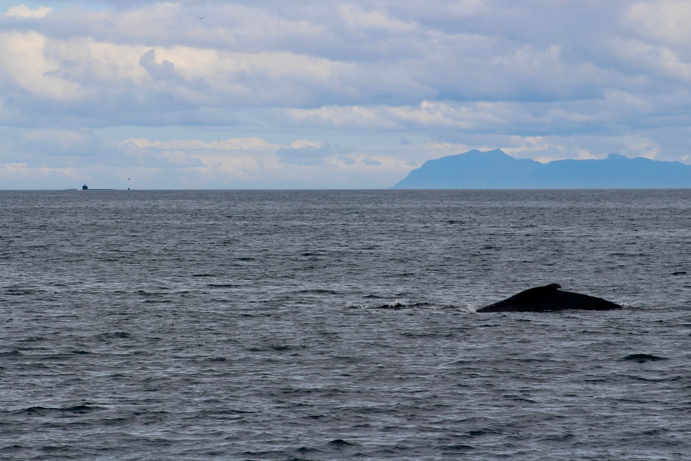 USS Newport News (SSN 750) Departs Faxa Bay