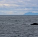 USS Newport News (SSN 750) Departs Faxa Bay