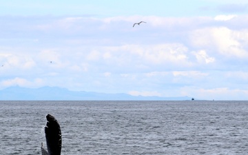 USS Newport News (SSN 750) Departs Faxa Bay