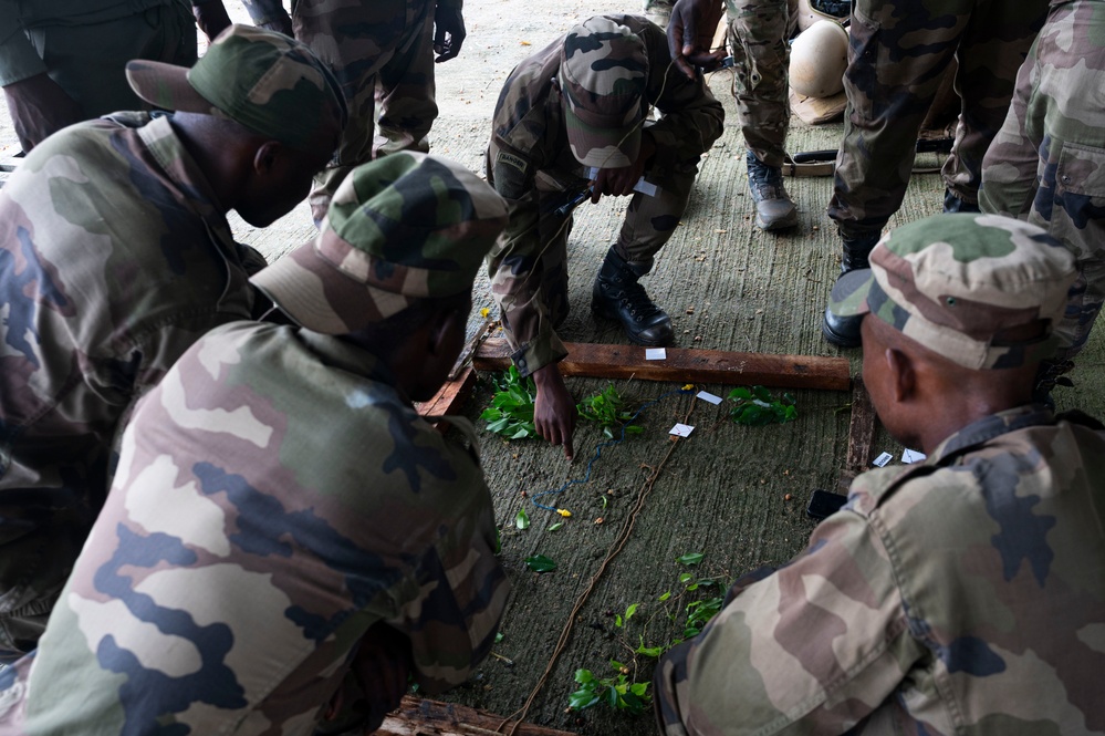 Forging Stronger Bonds: U.S. and Gabon Complete Joint Exchange Training