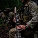 Forging Stronger Bonds: U.S. and Gabon Complete Joint Exchange Training