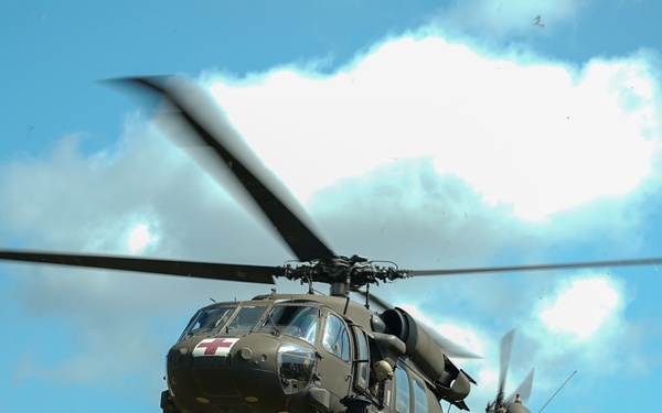 Joint service members participate in 'Operation Dustoff Vigilance'