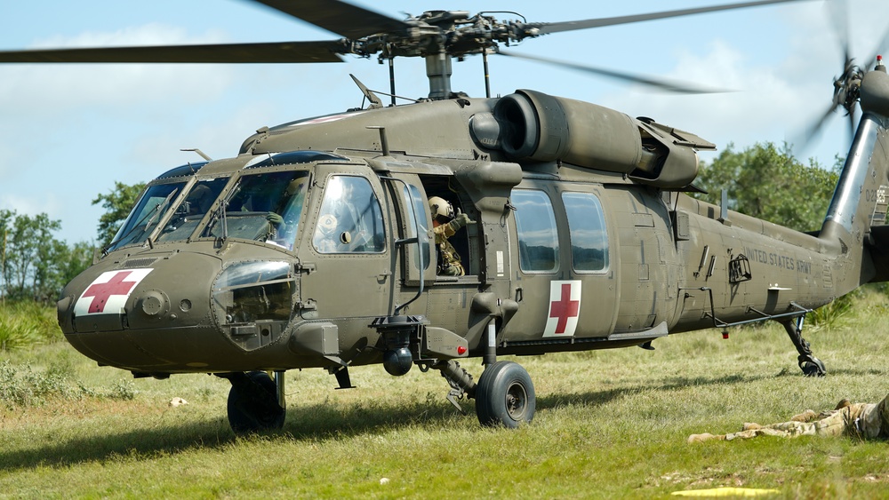 Joint service members participate in 'Operation Dustoff Vigilance'