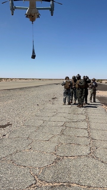Army and Marines: training together, making stronger ties