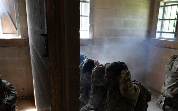 Joint service members participate in 'Operation Dustoff Vigilance'