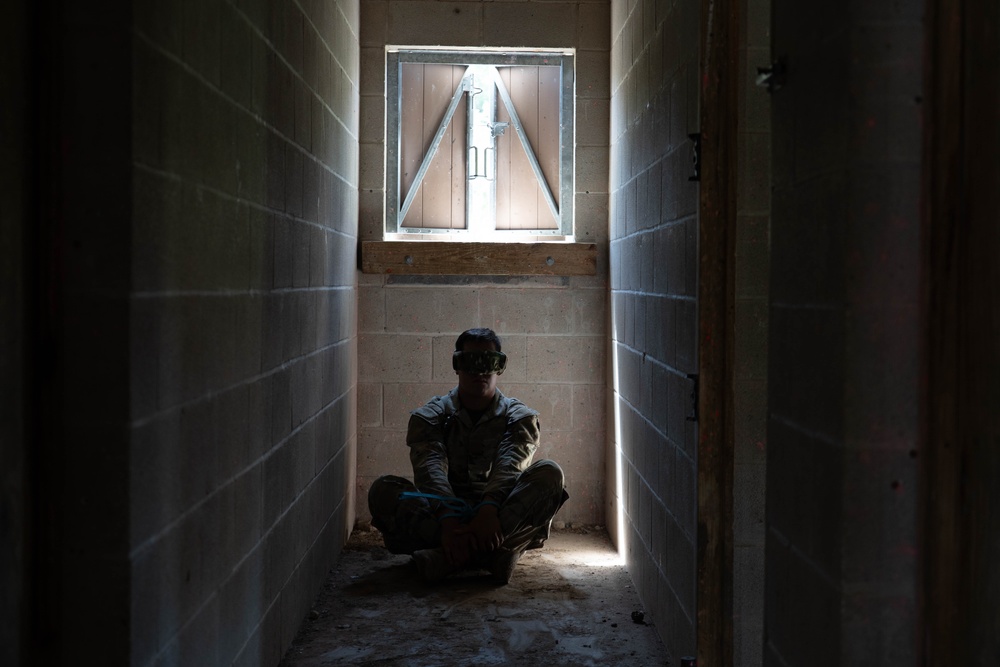 Joint service members participate in 'Operation Dustoff Vigilance'