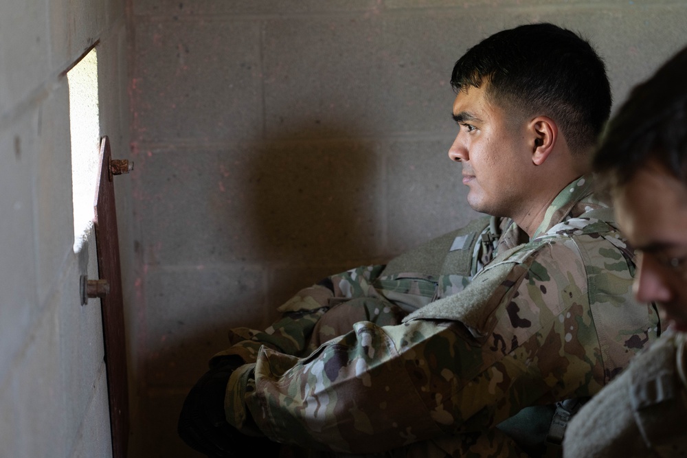 Joint service members participate in 'Operation Dustoff Vigilance'