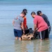 DPAA conducts water sked training