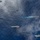 America Strike Group Conducts Formation Sail During Talisman Sabre 25