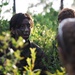 NROTC Midshipmen participate in FMF program on Camp Lejeune